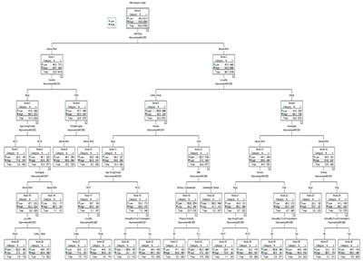 Cluster Analysis and Classification Model of Nutritional Anemia Associated Risk Factors Among Palestinian Schoolchildren, 2014